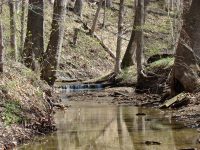 The Laura Hare Preserve at Blossom Hollow
