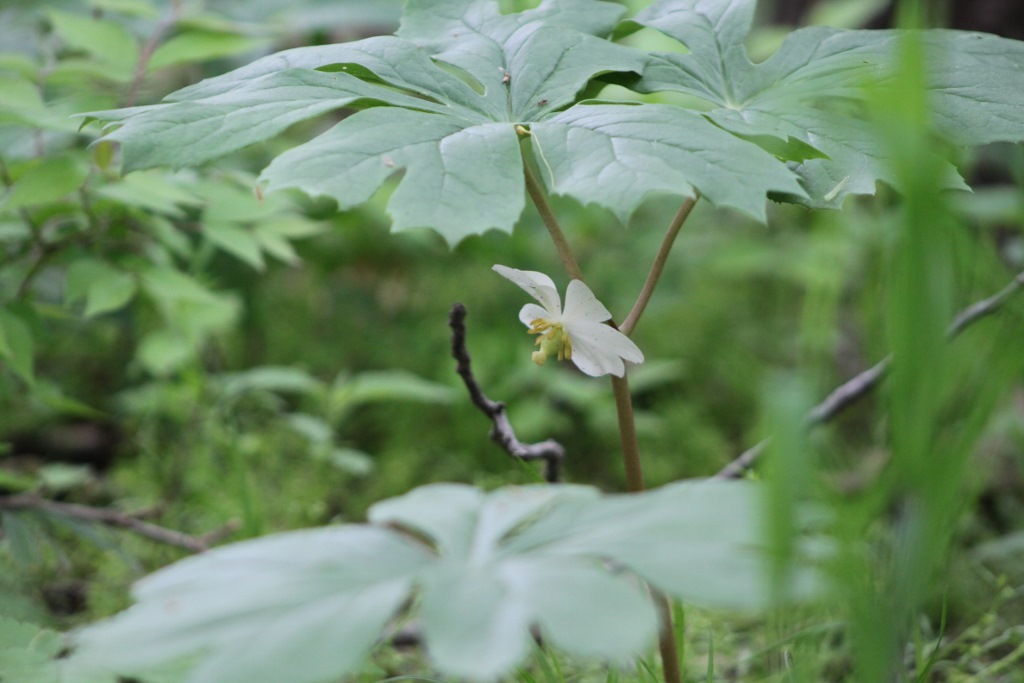 website 2 (1024×683)