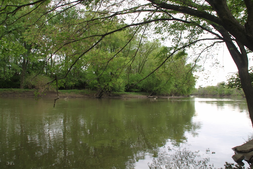 website 1 (1024×683)