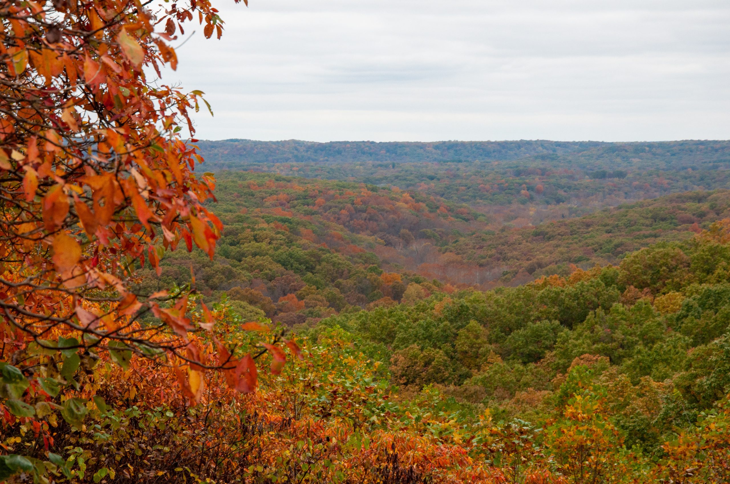 autumn landscape with trees and blue sky – Nashville Indiana – Brown County State Park