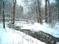 snowy waterway