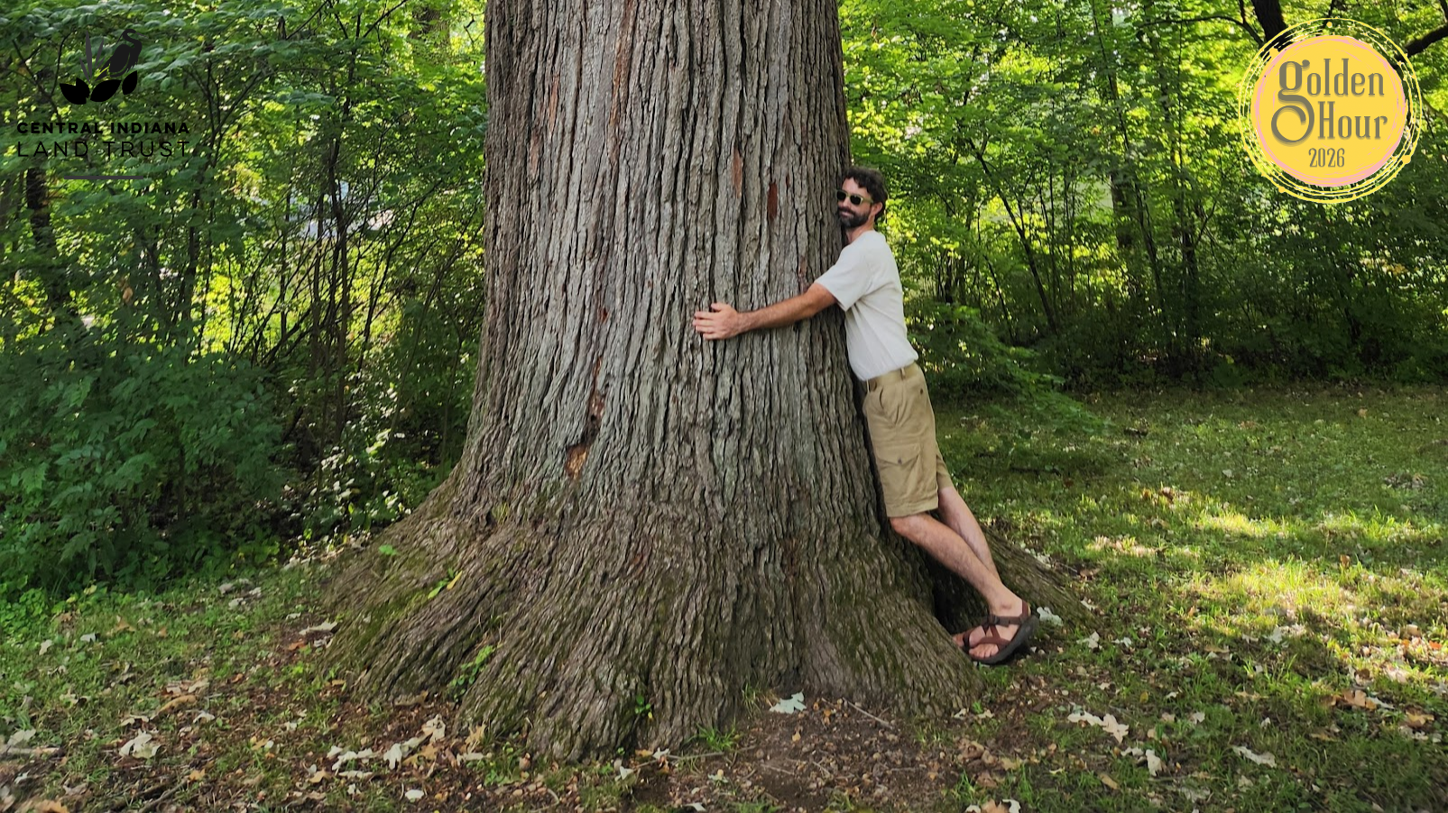 Man wearing a white shirt and tan shorts hugs a massive tree trunk in a sunlit green forest; logos for Central Indiana Land Trust and Golden Hour appear in the corners.