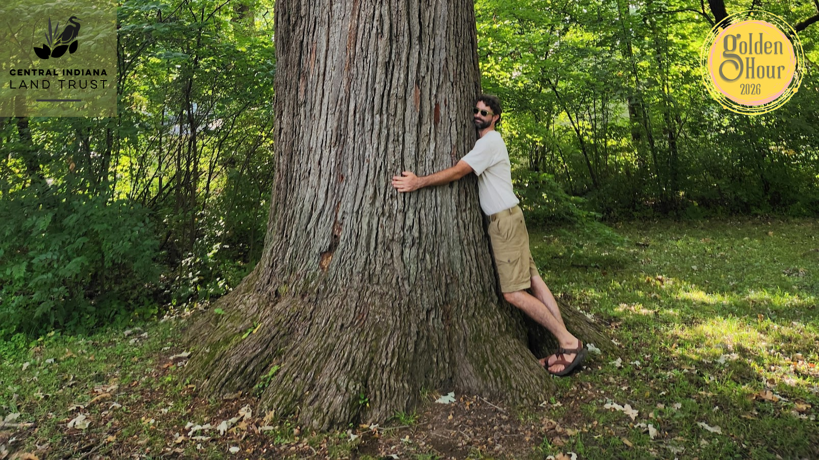 Man hugging a massive tree trunk in a sunny park, with logos for Central Indiana Land Trust (left) and Golden Hour 2026 (right).